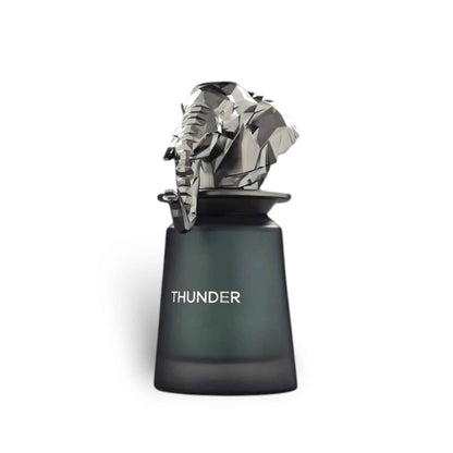 Thunder French Avenue 100ml EDP | Powdery Iris Men's Perfume UK