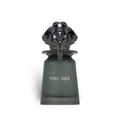 Thunder French Avenue 100ml EDP | Powdery Iris Men's Perfume UK