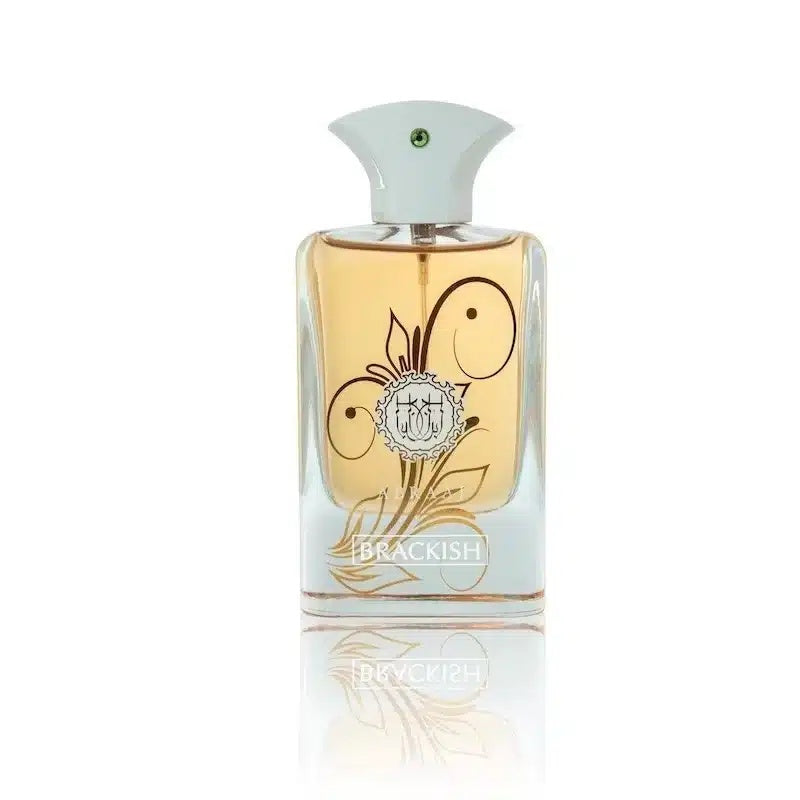 FA Paris Abraaj Brackish | 100ml | Unisex Parfum | Earthy Spicy UK